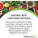 NaturesPlus Natural Beta Carotene 25,000 IU with Vitamin E | Eye Health Supplement | Antioxidant Softgels | Gluten-Free | 90 Servings - Buy Online on GoSupps.com