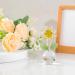 Qianwei Crystal Sunflowers Figurine with Vase - Sunflower Gifts Bouquet Collectible Figurines Crystal Office Home Decor Paperweight - Glass Sun Flower for Women Mom Bestfriend Wedding Anniversary Clear Crystal Sunflower - Buy Online on GoSupps.com