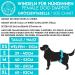 Dog is K nig Eco-Friendly Dog Diapers for Bitches - 3 pcs Strong Suction 3-Way Adjustable XS (Puppy - 31cm) for Heat & Incontinence - Buy Online on GoSupps.com