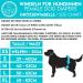 Dog is K nig Eco-Friendly Dog Diapers for Bitches - 3 Pcs Adjustable Incontinence Pants | Durable & Comfortable | M (40-53cm) - Red Blue Green - Buy Online on GoSupps.com