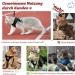 Supet Cat Dishes - Soft Cat Vest with Leash for Kittens & Small Dogs (Chihuahua) - L Size (Chest 38-43 cm) - Durable & Stylish in Red - Buy Online on GoSupps.com