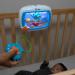 Baby Einstein Sea Dreams Soother Cot Toy - Remote Lights & Melodies for Newborns - Buy Online on GoSupps.com