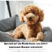 Moki B r Leave-In Conditioner for Dogs 200 ml | Argan Oil from Morocco | Smooth Fur & Easy Combing | Made in Germany - Buy Online on GoSupps.com