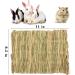 Grass mat for Rabbit Bunny Sangle Sopffy 6 Pcs Rabbit Hay Mat Small Animal Cages Hay Mat Rabbit Grass Mat Nesting and Toys for Guinea Pig Parrot Rabbit Bunny Hamster Chinchilla Squirrel Grass rabbit mat 6pcs - Buy Online on GoSupps.com