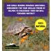Reptile World Tortoise Edible Bedding 10L Bag - Botanical Food for Tortoises - Buy Online on GoSupps.com