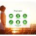 High-Dose 20% Sulforaphan Capsules - 180 Broccoli Sprout Extract Capsules with 90mg Sulforaphan Each - Premium Broccoli Supplements for Optimal Health - Buy Online on GoSupps.com