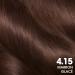 Garnier Olia Permanent Colouring 4.15 Marron Glace - Buy Online on GoSupps.com
