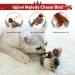 GiGwi Interactive Cat Feather Toy with Melody Chaser and Squeaky Bird - Plush Toys for Indoor Cats - Buy Online on GoSupps.com