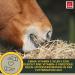 High-Dose Liquid Vitamin E & Selenium for Horses | Boost Muscle Energy & Structure - 1L Senior Feed - Buy Online on GoSupps.com