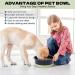 Fretonba Non-Slip Dog & Cat Food Bowl - Adjustable Green Feed & Water Dish for Small & Large Pets - Buy Online on GoSupps.com