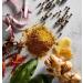 FISH RUB & SEASONING - Buy Online on GoSupps.com
