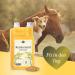 Martenbrown Rice Germ Oil 1L for Horses Dogs & Donkeys | Dietary Supplement for Dry & Canned Food | Practical Dosing Bottle - Buy Online on GoSupps.com