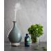 Buy 1 oz Peppermint Essential Oil - Double Bottle | Premium Quality & International Shipping - Buy Online on GoSupps.com