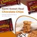 Lieber's Vegan Semi-Sweet Chocolate Chips 9 oz (Pack of 3) - Gluten Free, Dairy Free, Kosher Parve, Low Calorie Baking Chips - Buy Online on GoSupps.com