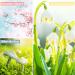 Spring Fragrance Oils Gift Set - ESSLUX Premium Scented Oils for Home Diffuser, Soap & Candle Making - Aromatherapy Essential Oil Blend with Rose, Lily, Peppermint Grass & More - Buy Online on GoSupps.com