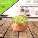 Sun Dried Kiwi Slices  with Sugar Added (16oz - 1 LB) Packed Fresh in Resealable Bag - Sweet Dehydrated Fruit  Snack Treat - Healthy Food  All Natural  Vegan  Kosher Certified 16 Ounce - Buy Online on GoSupps.com