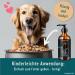 Animalius Skin & Fell Biotin Liquid 500ml for Dogs - Zinc Biotin & MSM for Itching Hair Loss & Shiny Coat - Buy Online on GoSupps.com