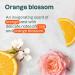  ATTITUDE ATTITUDE Mineral Sunscreen Stick with Zinc Oxide SPF 30 EWG Verified Plastic-Free Broad Spectrum UVA/UVB Protection Dermatologically Tested Vegan Orange Blossom 60g - Buy Online on GoSupps.com