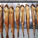 Stainless Steel H-Shape Incense Hooks - 12 Pieces 21cm Silver - Ideal for Hanging Smoked Fish Meat & Sausage - Buy Online on GoSupps.com