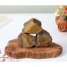 XIANNVXI Tigers Eye Crystal 1.77-2.17 Raw Stone - Natural Healing Crystal for Collectors & Beginners - Buy Online on GoSupps.com