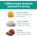 Om Mushroom Superfood Fit Blend - Cordyceps & Reishi Powder Supplement for Energy & Endurance (3.5 oz, 50 Servings) - Buy Online on GoSupps.com