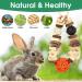 Abiz Rabbit Toys & Halloween Kaubelle Natur: Natural Wood Accessories for Rabbits Guinea Pigs Chinchillas Dwarf Rabbits and Hamsters Ideal Tooth Care Solutions - Buy Online on GoSupps.com
