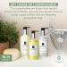 Terra Pure 10 Piece Ecobox All-In-Kit | Eco-Friendly Green Tea Soap Shampoo Conditioner Body Wash & Lotion | Bulk Hotel Toiletries Set | Personal Care Essentials - Buy Online on GoSupps.com