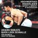 Everleven Premium Real Leather Weight Lifting Belts for Men & Women | Fitness Gym Bodybuilding Strength Sport - Choose Black M/L - Buy Online on GoSupps.com
