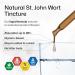 BIO KRAUTER St Johns Wort Tincture - Hypericum Perforatum Liquid Extract for Mood Support - High Absorption - St Johns Wort Alcohol Free Vegan Drops 4 Fl.Oz. 4 Fl Oz (Pack of 1) - Buy Online on GoSupps.com