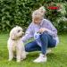 Flexi New Comfort Dog Leash - Ergonomic Durable Tangle-Free | For Dogs Up to 25kg | 4.8m Medium Size | Blue/Pastel Colors - Buy Online on GoSupps.com