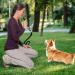 Fannas Dog Whistle - 2 Pack Adjustable High Frequency Dog Training Whistles with Free Pipe Band - Loud & Effective Recall Trainer - Black/Red - Buy Online on GoSupps.com