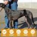 HSHGZSR Dog Knee Brace for Hind Leg Breathable Dog Leg Braces Comfortable Soft Dog ACL Brace Adjustable Pet Back Leg Support Brace for Supporting Dogs with Torn ACL Muscle Hind Leg Joint Discomfort Black L - Buy Online on GoSupps.com