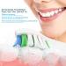 Buy Qtitrus Replacement Brushes for Philips Sonicare | Compatible Toothbrush Heads for Diamond Protective Expert & Daily Clean - 8 White & 8 Black - Buy Online on GoSupps.com