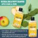 Herbal Dog Co Apple & Vanilla Natural Dog Shampoo 250ml - Hypoallergenic & Cruelty-Free Dog Wash - Vegan Grooming Formula Made in UK - Buy Online on GoSupps.com