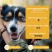 Mammaly Immu Push Snack | Nutritional Supplements & Vitamins for Dogs | Boost Immune System | 30 Snack Packs - Buy Online on GoSupps.com