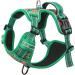 Heele Dog Crockery & Reflective Harness for Medium Dogs | Adjustable Padded Chest Harness - Flower Grass Green XL - Buy Online on GoSupps.com