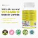 MAXIMUM POTENCY 1000mg Vitamin C Capsules Vital Immune Support Powerful Antioxidant Healthy Skin Bones and Teeth Helps Metabolize Nutrients Slow Release Vegan Gluten Free. 240 Easy to Swallow Capsules. 2 Packs 240 count (Pack of 1) - Buy Online on GoSupps.com