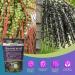 ResVitale Age-Revitalizing Resveratrol Fruit Chews - Anti-Aging with Acai Berry & Grape Seed Extract - 30 Count - Buy Online on GoSupps.com