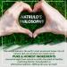 Organic Ear Oil for Infections - Natural Eardrops for Prevention & Relief - Made in USA - Buy Online on GoSupps.com
