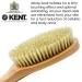 Kent FD10 Beechwood Long Handle Body Brush with 100% Boar Bristles - Exfoliate, Massage, and Scrub for Skin Health - Made in England - Buy Online on GoSupps.com