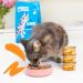 Edgard & Cooper Grain-Free Wet Cat Food - Adult & Active Chicken in Sauce (85g x 18 Pack) | Natural & Tasty Nutrition for Cats - Buy Online on GoSupps.com