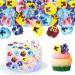 Blumomon 60Pcs Edible Pansy Flowers Cupcake Toppers Tricolor Viola Cake Topper Edible Flowers Cupcake Decoration Picks Wedding Baby Shower Party Wedding Anniversary Birthday Party Cupcake Decoration Flower-style1