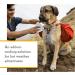 Ruffwear Swamp Cooler Core Evaporative Cooling Add-on | Small Graphite Gray - Buy Online on GoSupps.com