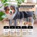 True Love of Animals Dog Towel - Washable Quick-Dry Bathrobe for All Dog Sizes - Cozy Cold Protection - M Dark Gray - Buy Online on GoSupps.com
