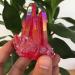Natural Red Quartz Cluster Crystal Gem Specimen Stone Crystal Reiki - Buy Online on GoSupps.com