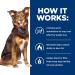 Hill's Prescription Diet Metabolic Weight Management Wet Dog Food Chicken 13oz - Pack of 12 - Buy Online on GoSupps.com