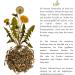 Dandelion Seeds for Rabbits - Optimal Wild Herb Feed Supplement (5 000 Seeds) | Guinea Pigs & Turtles Approved - Buy Online on GoSupps.com