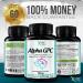 Alpha GPC Choline Supplement 600mg - 120 Veggie Capsules | Cognitive Enhancer & Nootropic | Supports Memory, Brain Function, Focus & Mood | Highly Purified & Bioavailable Source of Choline - Buy Online on GoSupps.com