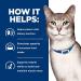 Hill's Prescription Diet k/d Kidney Care Wet Cat Food Pt Tuna 5.5oz (24 Pack) - Veterinary Diet - Buy Online on GoSupps.com