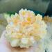 Natural Lemon Yellow Quartz Crystal Cluster Rock Stones Reiki Specimen Home Decor Home Goods 400-500g 1 Piece